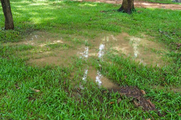 Cost of Storm Water Drainage Service in Nashville