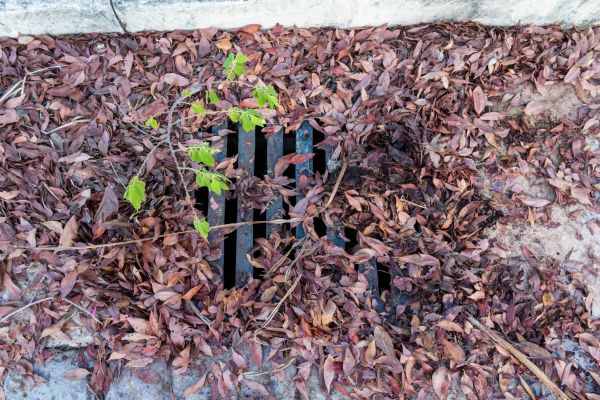 Cost of Yard Drain Unclogging in Nashville