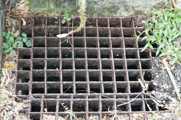 Cost of Yard Drain Cleaning in Nashville