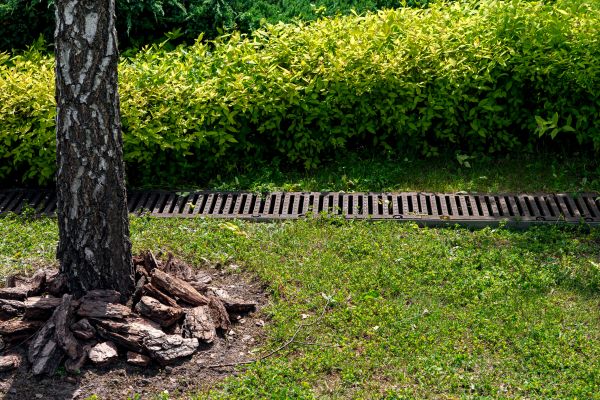 Cost of Wet Yard Drainage in Nashville