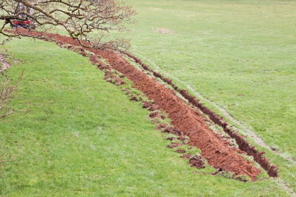Cost of Swale Installation in Nashville