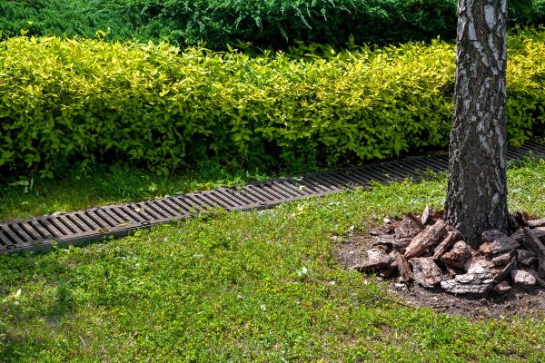 Cost of Residential Landscape Drainage in Nashville
