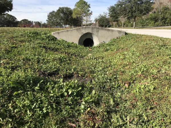 Cost of Swale Drainage Service in Nashville